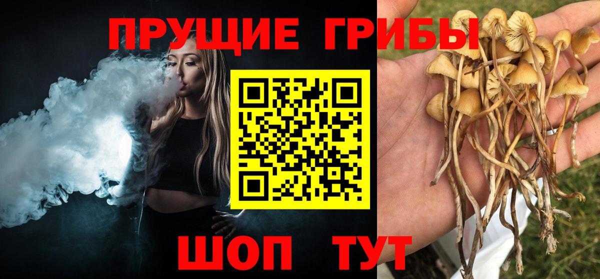 Галлюциногенные грибы GOLDEN TEACHER Курчатов