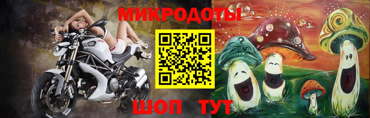 Курчатов  Псилоцибиновые грибы Psilocybine cubensis  Галлюциногенные грибы прущие грибы  Вход с VPN 